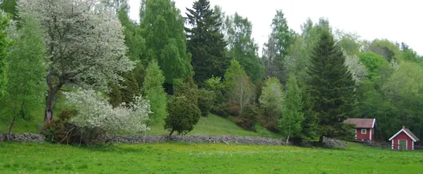 Väsmestorps
naturreservat med kvarnbyggnad och stenmur. Skog som bakgrund och gräs i förgrunden.